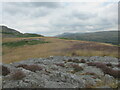 Rocky outcrop on the lower slopes of Cribarth. in SA9 1YU