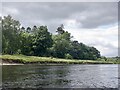 Woody Islands, River Tay in PH1 3XS