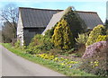 Barn with colourful early spring garden, Milden in CO3 5UN