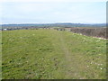Footpath and Hedgerow near Ufton Fields in DE55 7LH