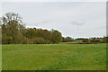 Pasture by Earl's Wood in SG8 8DP
