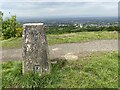 Cathkin Braes Trig Point Flush Bracket S3662 in G45 0JA