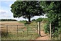 Bridleway on Wrottesley Old Park in Staffordshire in WV6 7HJ