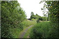 Path near Cullaloe Reservoir in KY3 0RN
