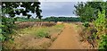 Track off Bearley Road, Aston Cantlow in B95 6LD