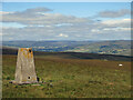 The trig point on Carrs Top in DL13 2LJ