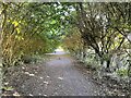 Wooded path in the Radwell Meadows Country Park in SG7 5BF