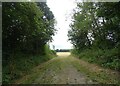 Track (footpath) off Bagwell Lane in RG27 8DB