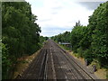 Railway towards Winchfield in GU51 5HZ