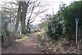 Footpath off Mowson Lane, near Worrall in S35 0AY