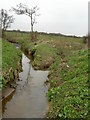 Confluence between Arrowe Brook and Greasby Brook. in CH46 5NJ
