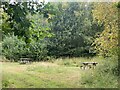 Picnic area in Pembrey Forest in Pembrey and Burry Port Town Community