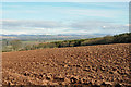 Ploughed Field and Station Wood in PH13 9PX