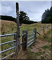 Gate along the Monarch's Way at Wychbury Hill in DY9 9JX