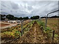 Footpath through the Lea Castle Village housing development in DY10 3FR