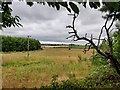 Farmland next to Talbotshill Coppice in DY10 3FR
