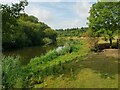 The River Avon near the A4104 in WR10 3HB