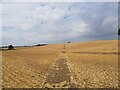 Path across a field near Besford Bridge in WR10 2AD