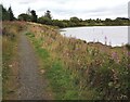 Path alongside Black Loch in FK1 3BS