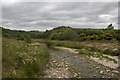Northwest view from the coastal footbridge over the Garvock Burn in DD10 0DL