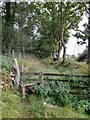 Stile leading to overgrown track in SA9 1NE