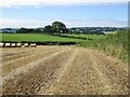 Stubble and round bales, Dripps in G76 8SW