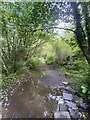 Track over stream in CF44 0YS