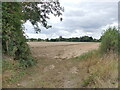 Entrance to Potato field in Felmingham