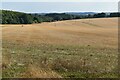 Large field west of Acorn Ground in SO20 8DH