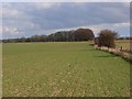 Farmland on the downs near Lambourn in RG17 8NT