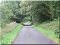 Lane towards Mutehill in DG6 4RD