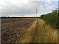 Stubble by the path in Sleaford Westholme Ward