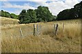 Gate on the bridleway into Clothall in SG7 6RD