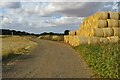 Rolls of straw by the Hertfordshire Way in SG7 6RH