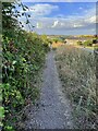 Bridleway to the A507 in SG7 6RT