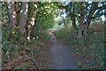 Hertfordshire Way in the woods in SG7 6LR