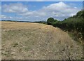 Field of stubble, Hill Farm in DT7 3NF