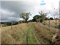 Llwybr cyhoeddus ger Ffarm Pantycelyn / A public footpath near Pantycelyn Farm in SA48 8HD