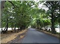 School Road, Kelvedon Hatch in CM15 0LL