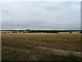Stubble field off Hay Green Lane in CM15 0QD