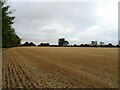 Stubble field near Fithlers Hall Farm in CM1 3QJ