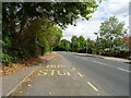 Bus stop and shelter on Blasford Hill (B1008) in CM3 1AE