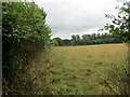 Grass field near Harpley in WR6 6HD