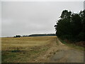 Farm track alongside a plantation, Shipton Oliffe in GL54 4HY