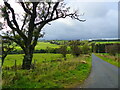 The road to Edlingham in NE66 2BL