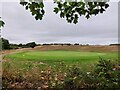 Hole 5 at Hollingbury Park Golf Course in BN1 7HT