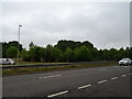 Woodland beside Southend Arterial Road (A127) in RM14 1TX