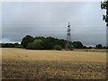 Stubble field towards Bonus Wood in Upminster Ward