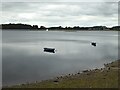 Angling boats on Hallington West Reservoir in NE46 4TW