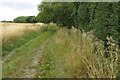 Footpath out of Redhill in SG9 0TB